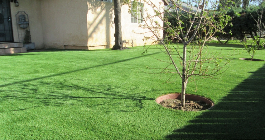 Completed Lawns and Turfs by Turf Exchange - Photo 27