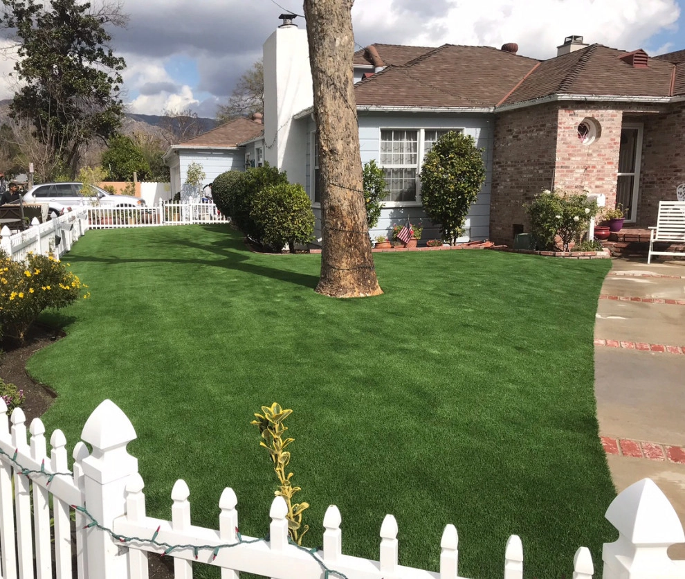 Completed Lawns and Turfs by Turf Exchange - Photo 23