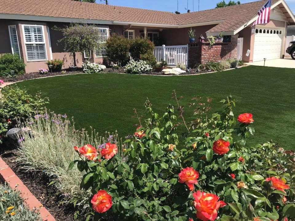 Turf Exchange - Photo 13