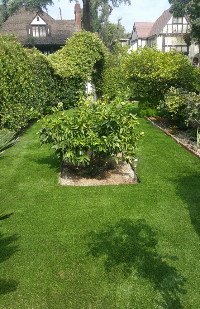 Completed Lawns and Turfs by Turf Exchange - Photo 4