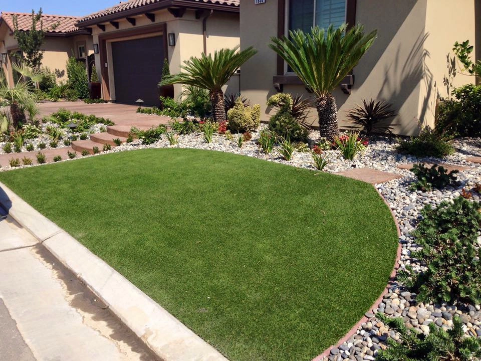 Completed Lawns and Turfs by Turf Exchange - Photo 26