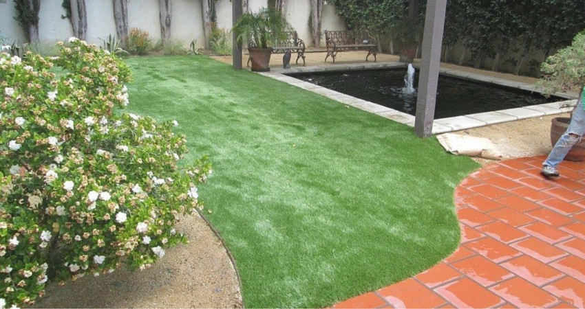 Completed Lawns and Turfs by Turf Exchange - Photo 22