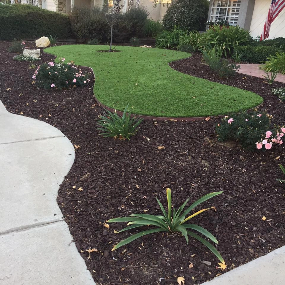 Completed Lawns and Turfs by Turf Exchange - Photo 33