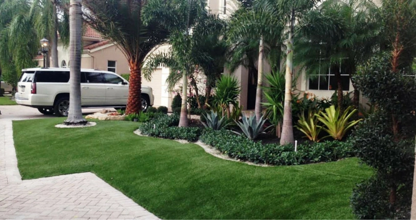 Completed Lawns and Turfs by Turf Exchange - Photo 15