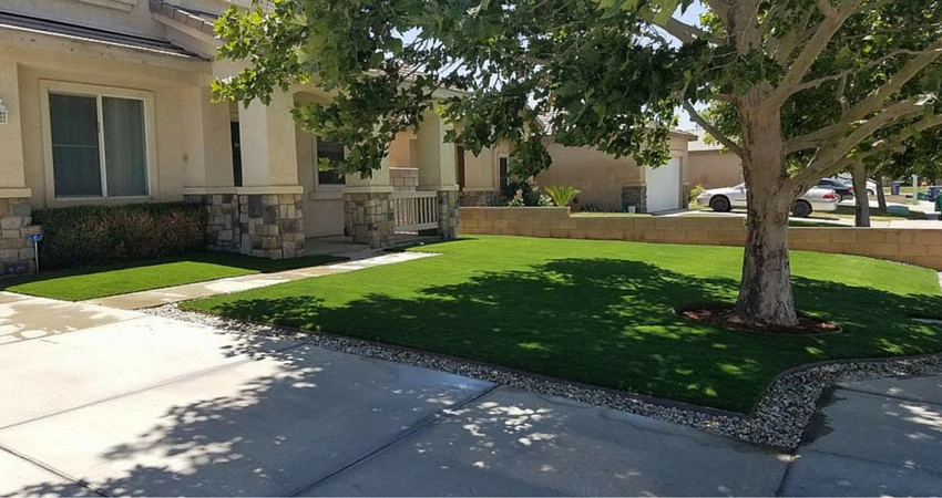 Completed Lawns and Turfs by Turf Exchange - Photo 19
