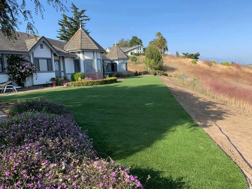 Completed Lawns and Turfs by Turf Exchange - Photo 7