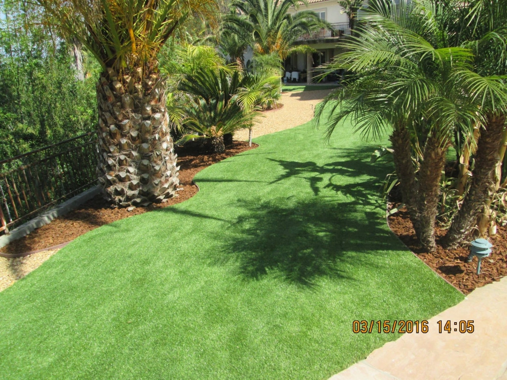 Completed Lawns and Turfs by Turf Exchange - Photo 16