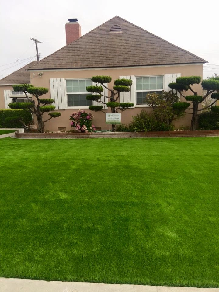 Completed Lawns and Turfs by Turf Exchange - Photo 29