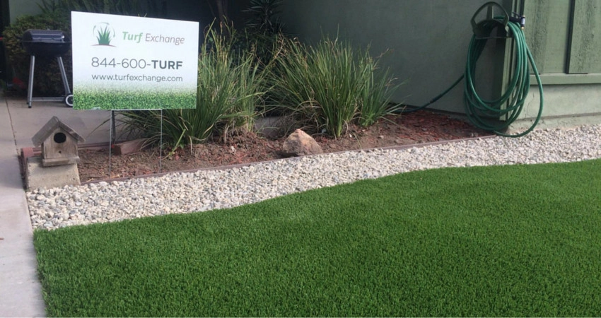 Completed Lawns and Turfs by Turf Exchange - Photo 36