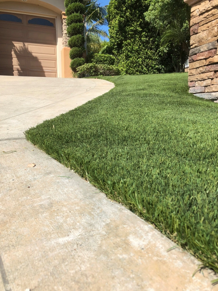 Completed Lawns and Turfs by Turf Exchange - Photo 28