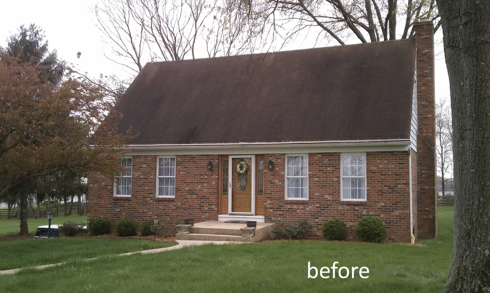 Powell - house renovation by Dwellbeing - Photo 7