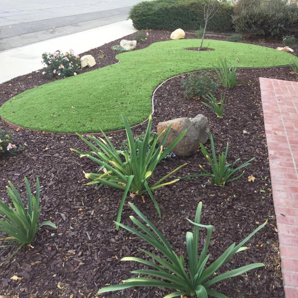 Completed Lawns and Turfs by Turf Exchange - Photo 38