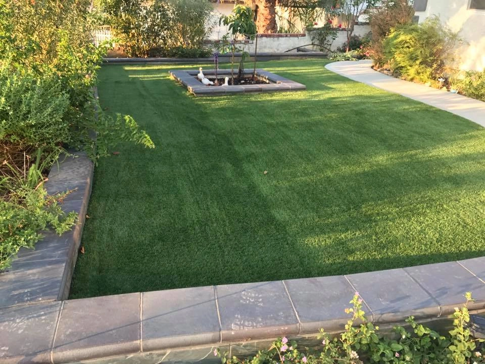 Completed Lawns and Turfs by Turf Exchange - Photo 6