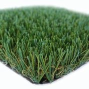 Completed Lawns and Turfs by Turf Exchange - Photo 34