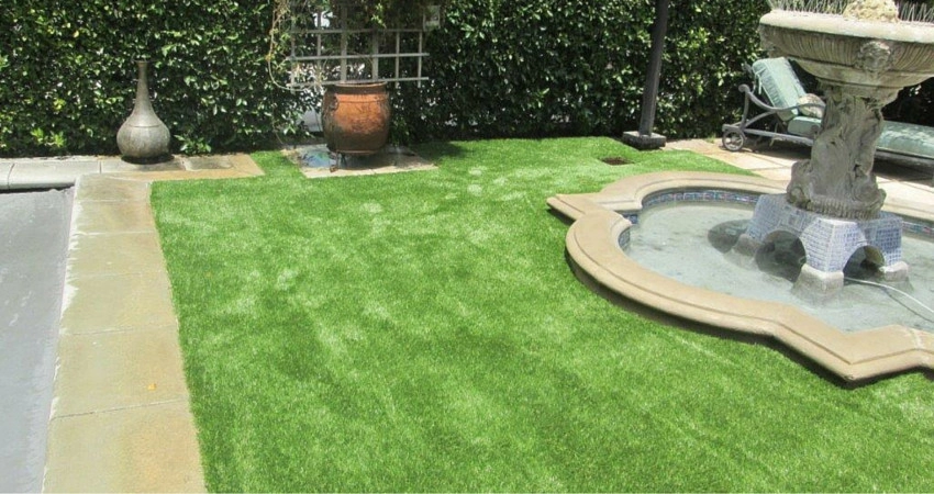 Completed Lawns and Turfs by Turf Exchange - Photo 25