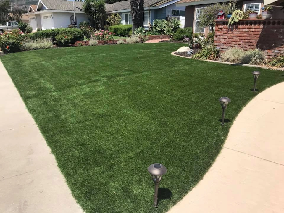 Completed Lawns and Turfs by Turf Exchange - Photo 30