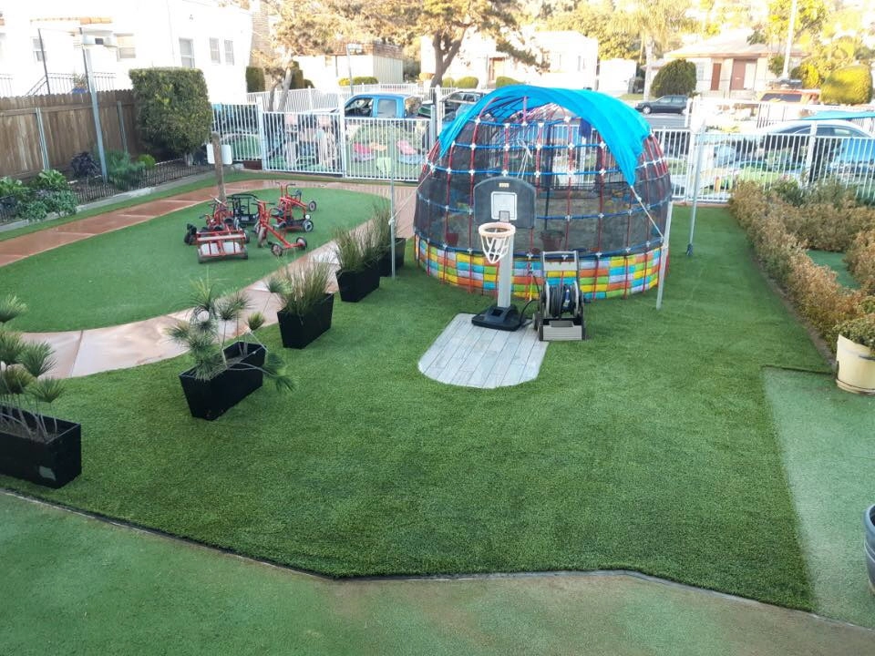 Completed Lawns and Turfs by Turf Exchange - Photo 10