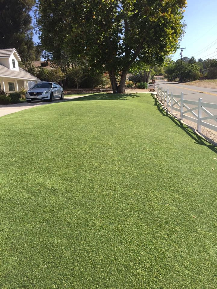 Completed Lawns and Turfs by Turf Exchange - Photo 12