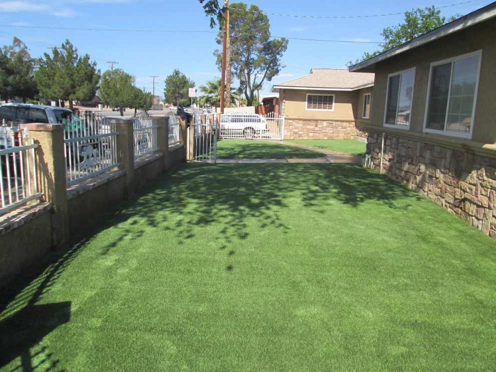 Completed Lawns and Turfs by Turf Exchange - Photo 13