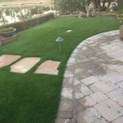 Completed Lawns and Turfs by Turf Exchange - Photo 8