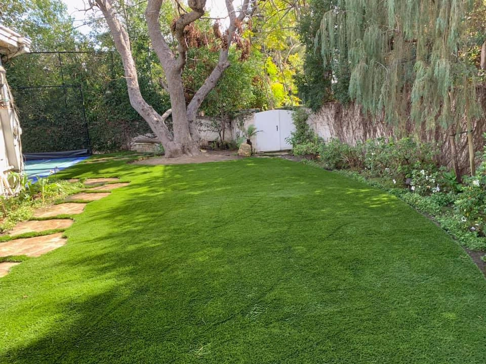Completed Lawns and Turfs by Turf Exchange - Photo 31