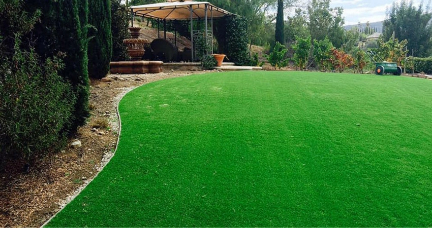 Completed Lawns and Turfs by Turf Exchange - Photo 5