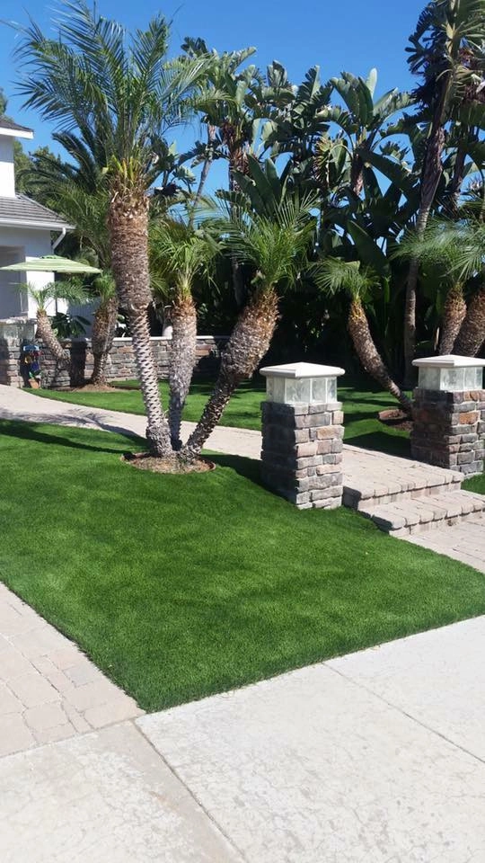 Turf Exchange - Photo 6