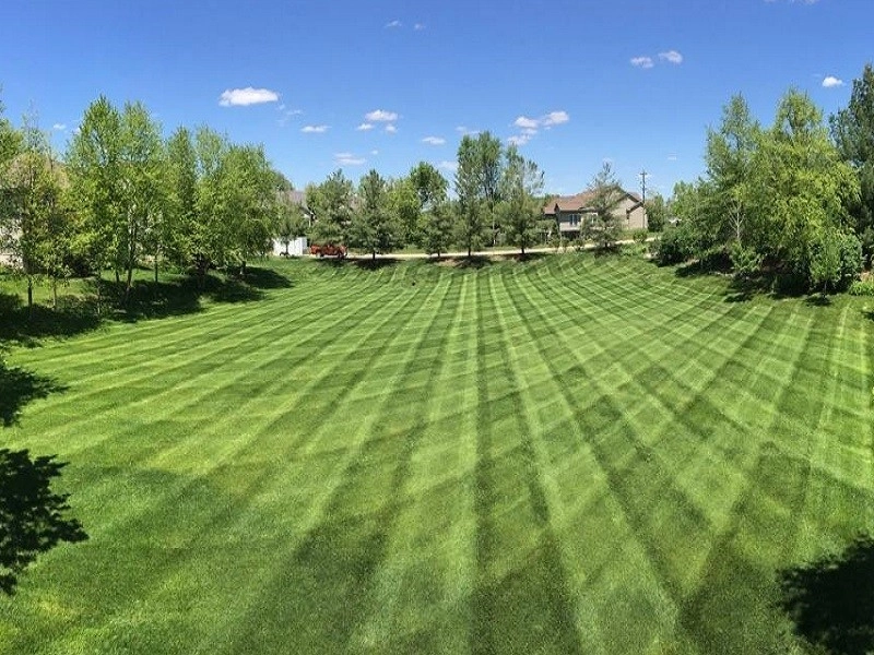 Lawn Mowing by Turf Masters Lawn & Landscape LLC - Photo 6