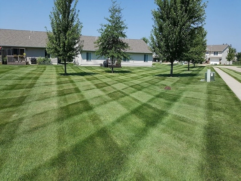 Lawn Mowing by Turf Masters Lawn & Landscape LLC - Photo 4