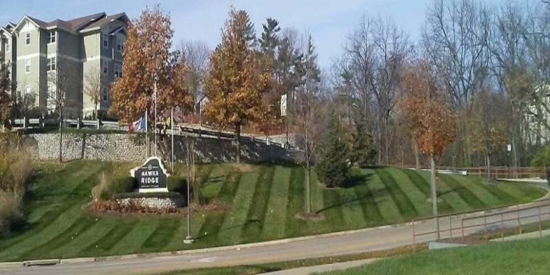 Lawn Mowing by Turf Masters Lawn & Landscape LLC - Photo 3