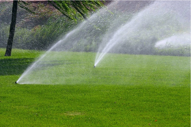 Irrigation and Drainage by Turf Masters Lawn & Landscape LLC - Photo 2