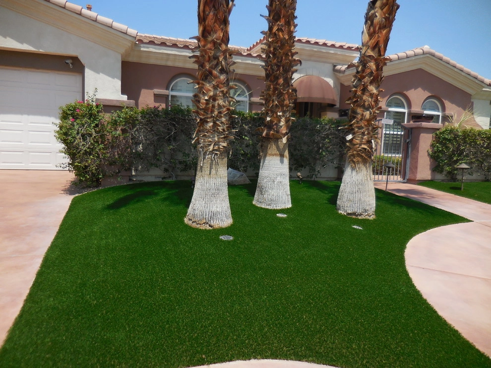 Palm Springs - Front Yard Landscape by Turf Pros Direct - Photo 15