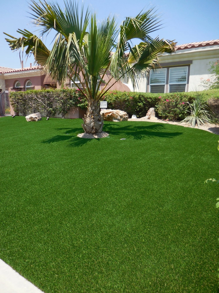 Palm Springs - Front Yard Landscape by Turf Pros Direct - Photo 16