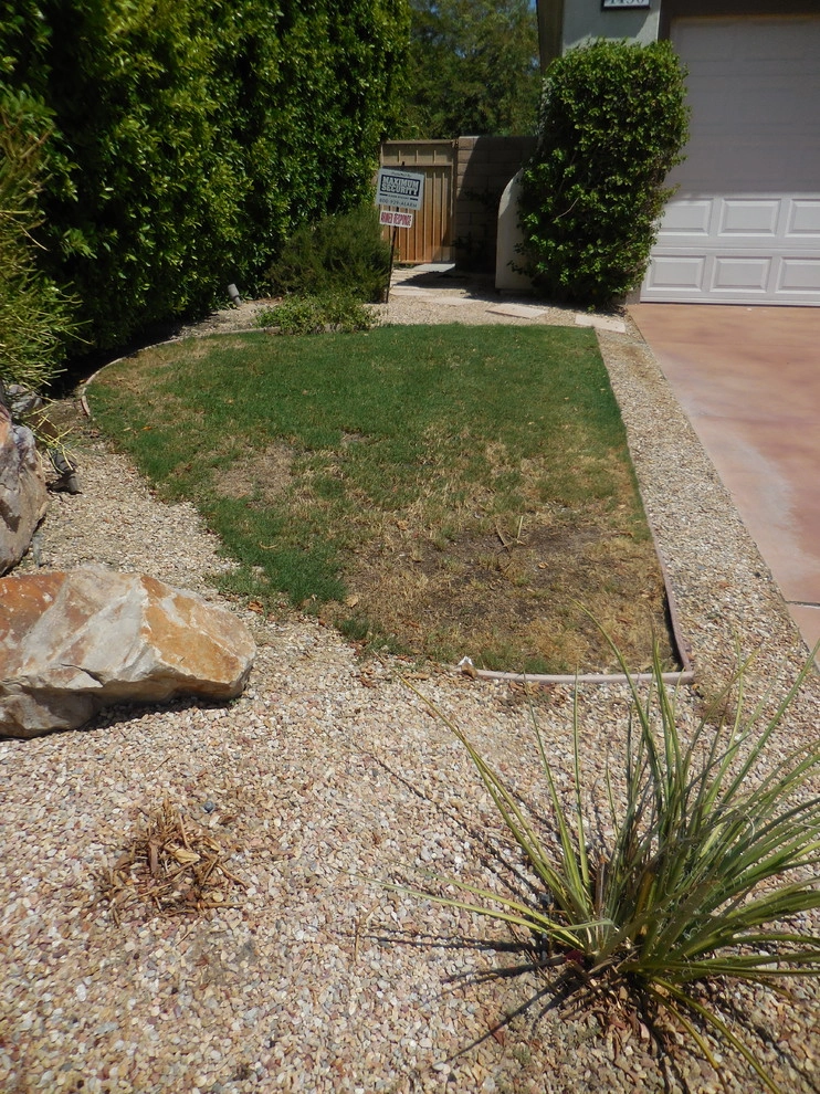 Palm Springs - Front Yard Landscape by Turf Pros Direct - Photo 7