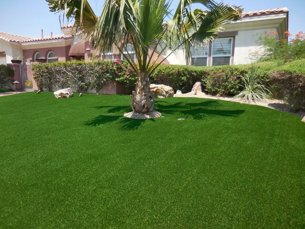 Palm Springs - Front Yard Landscape by Turf Pros Direct - Photo 12