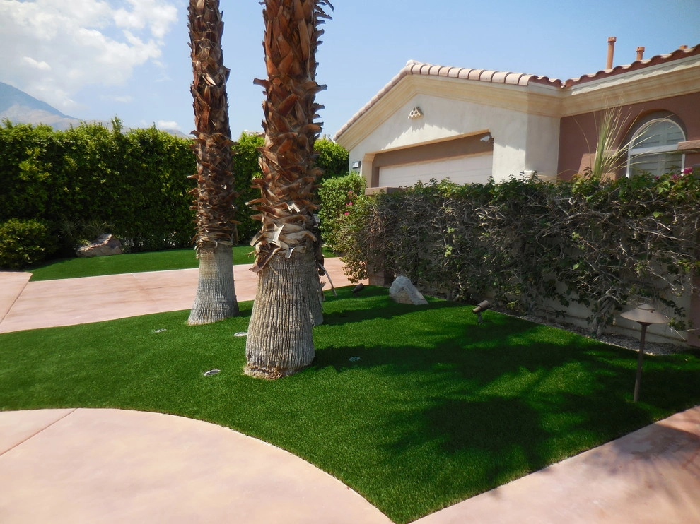 Palm Springs - Front Yard Landscape by Turf Pros Direct - Photo 11