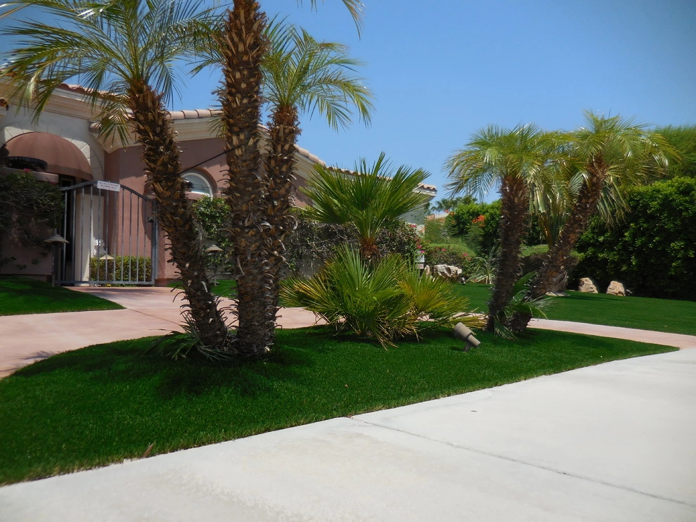 Palm Springs - Front Yard Landscape by Turf Pros Direct - Photo 8