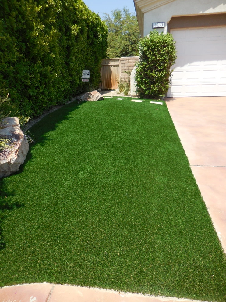 Palm Springs - Front Yard Landscape by Turf Pros Direct - Photo 10