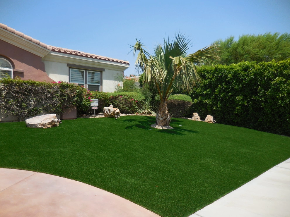 Palm Springs - Front Yard Landscape by Turf Pros Direct - Photo 6