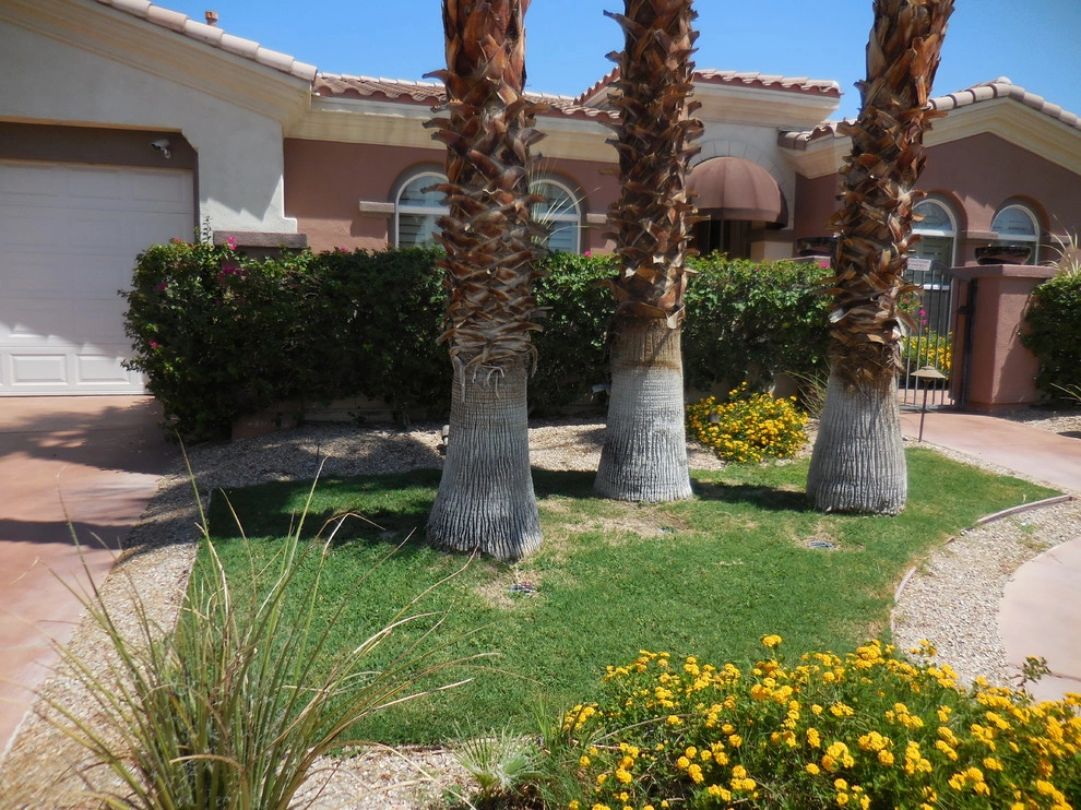 Palm Springs - Front Yard Landscape by Turf Pros Direct - Photo 9