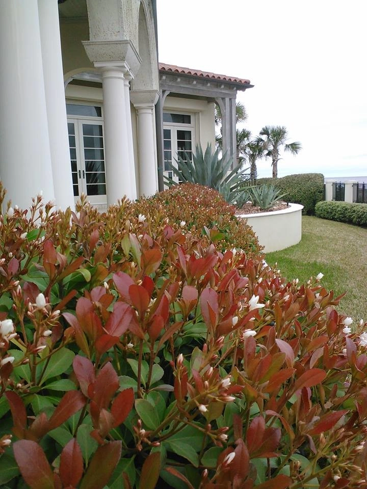 Turf Rider Lawn And Landscape - Photo 9