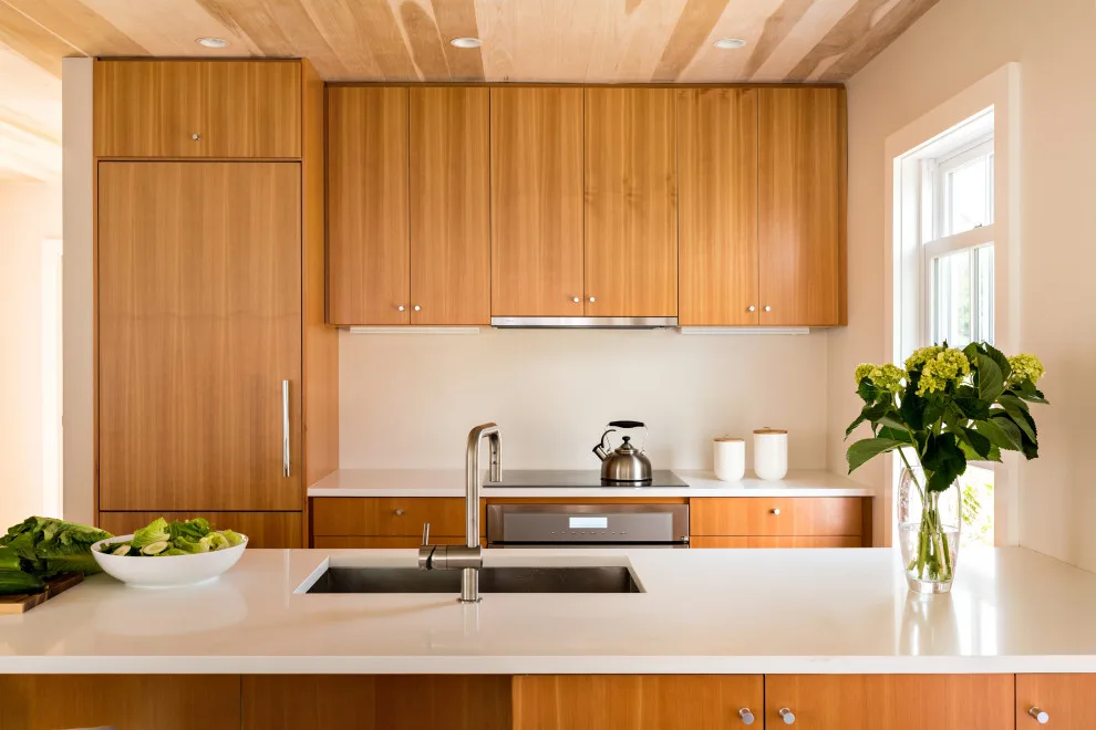 Provincetown Revamp and New Guest Accommodation by Hammer Architects - Photo 11