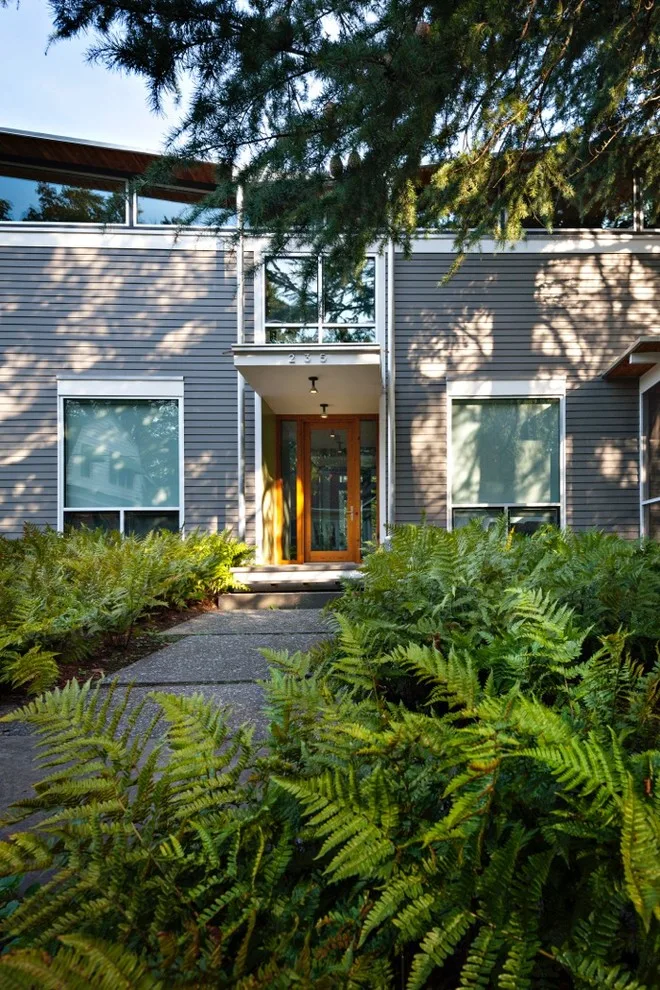 Urban Forest Landscape: Rain and Shine by Robert M. Cain, Architect - Photo 7