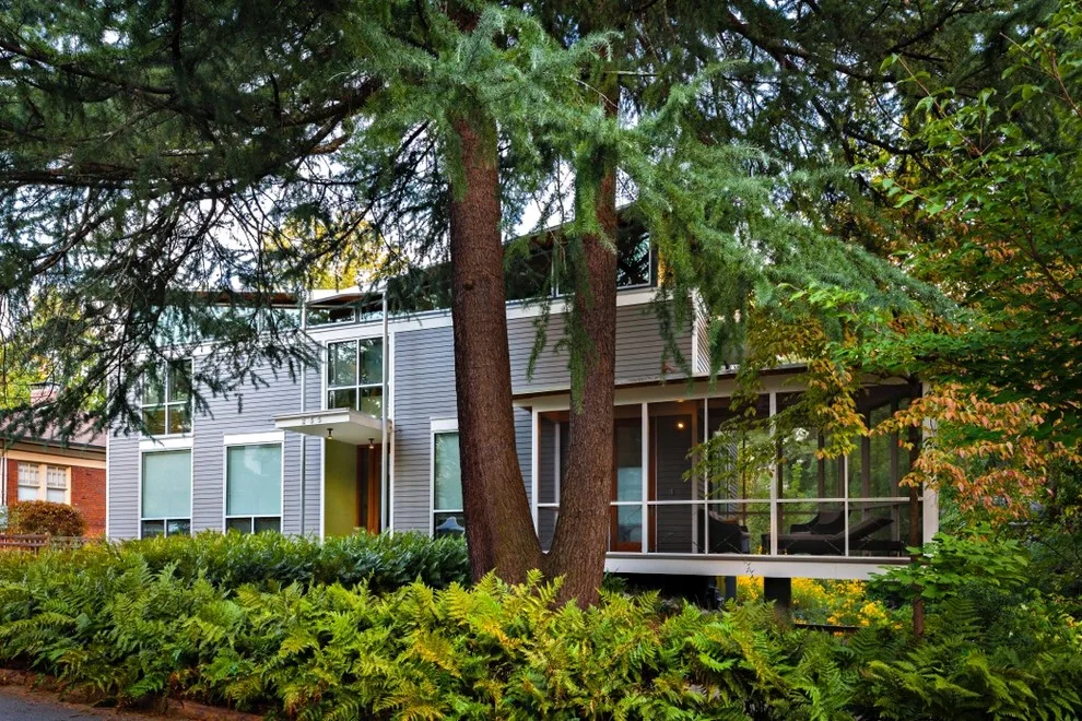 Urban Forest Landscape: Rain and Shine by Robert M. Cain, Architect - Photo 3