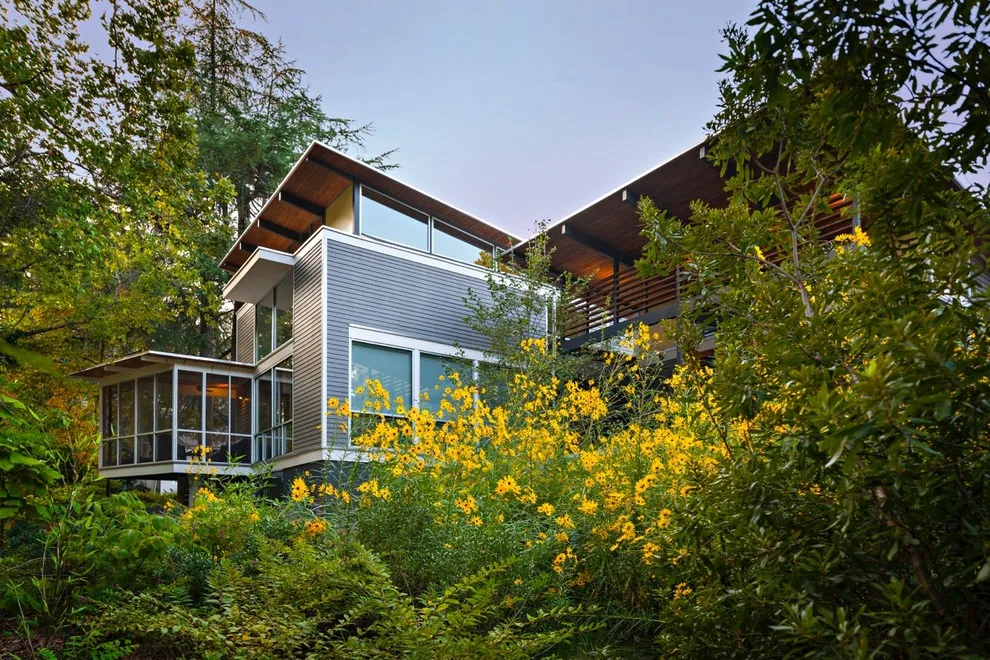 Urban Forest Landscape: Rain and Shine by Robert M. Cain, Architect - Photo 9
