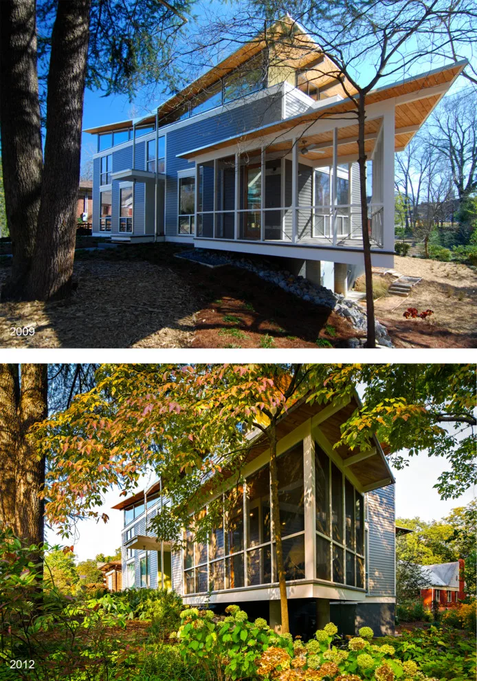 Urban Forest Landscape: Rain and Shine by Robert M. Cain, Architect - Photo 5