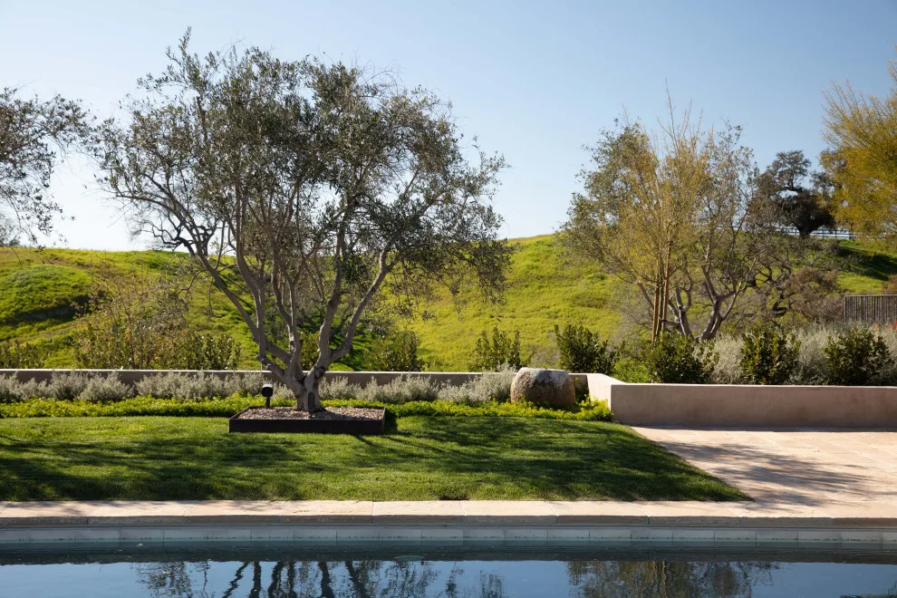 Olive Ranch by Tom Meaney Architect, AIA - Photo 6