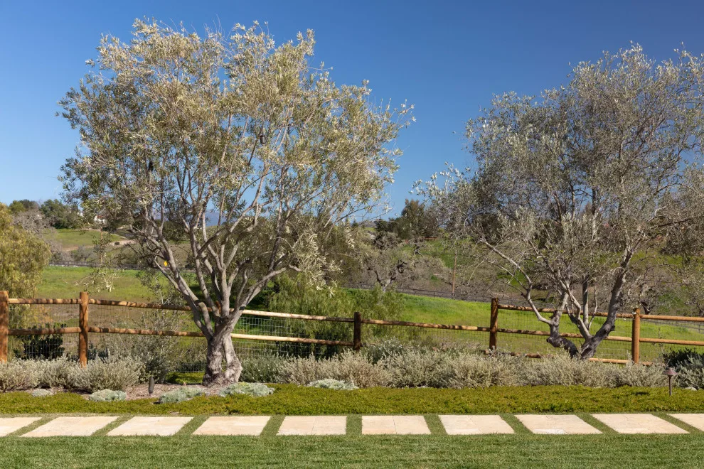 Olive Ranch by Tom Meaney Architect, AIA - Photo 11