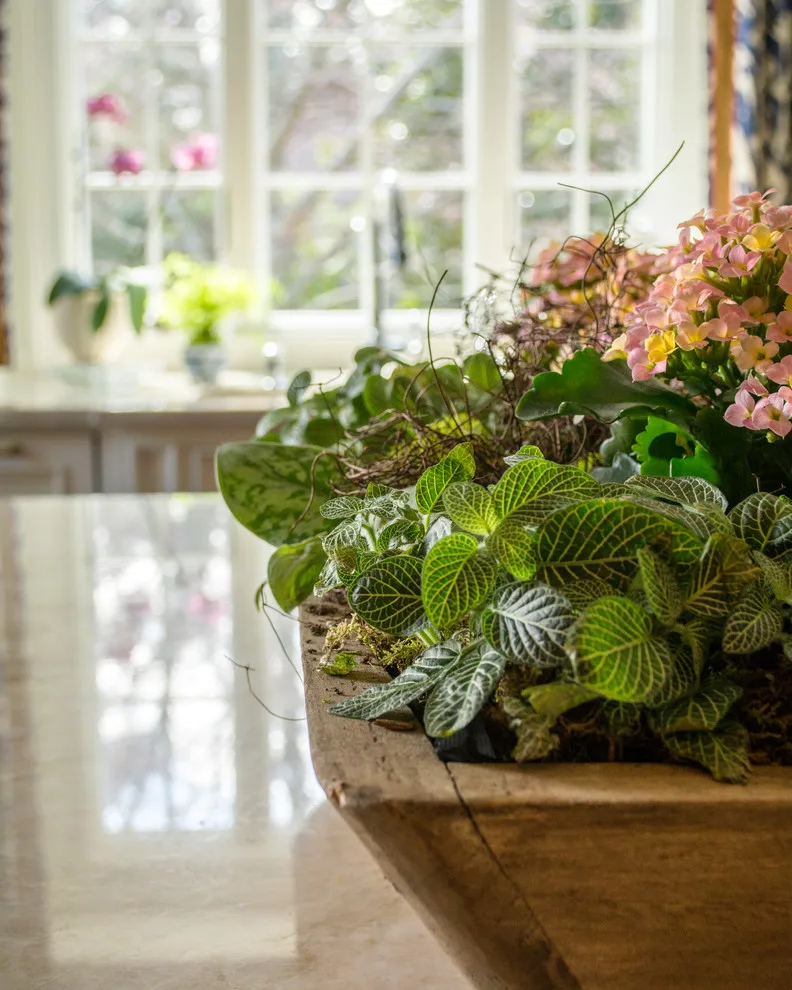 Raven Road Culinary Remodel by Kustom Home Design - Photo 5