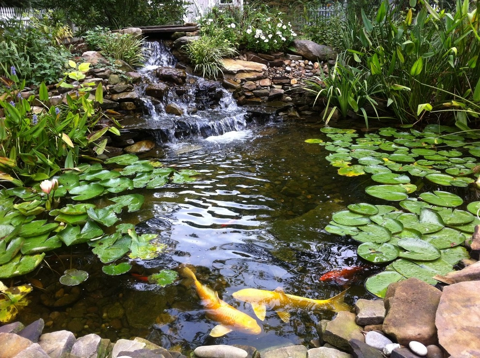 Universal Aquatics - Photo 6